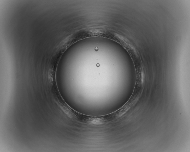 X0000113560710200909181219