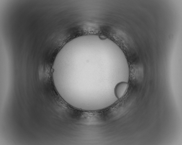 X0000113560713200909181219