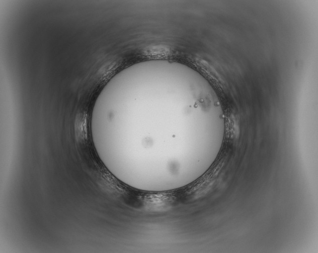 X0000113560717200909181219