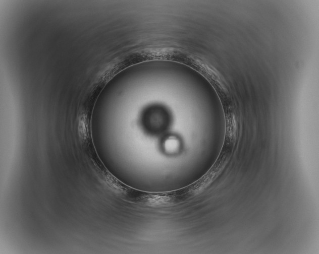 X0000113560718200909181219