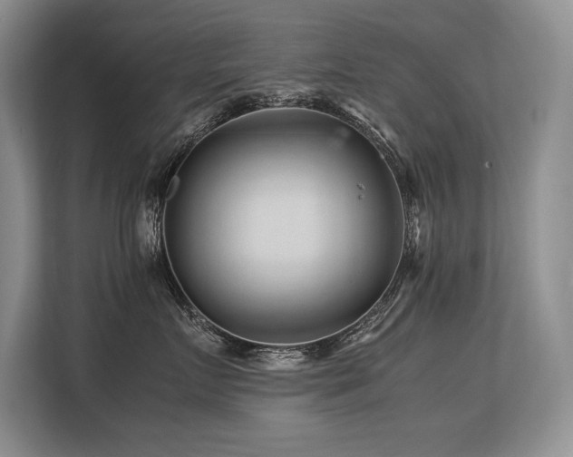 X0000113560719200909181219