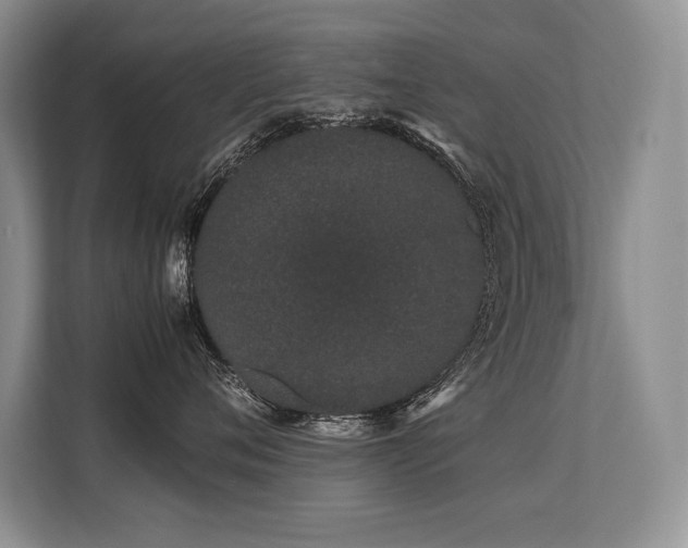 X0000113560720200909181219