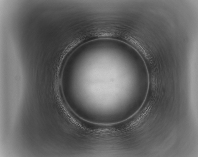 X0000113560721200909181219