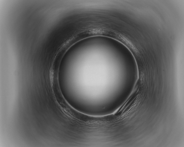 X0000113560722200909181219