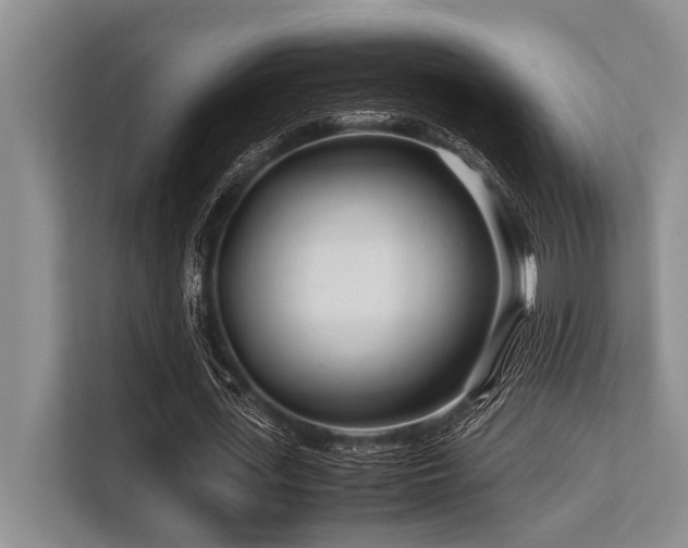 X0000113560723200909181219