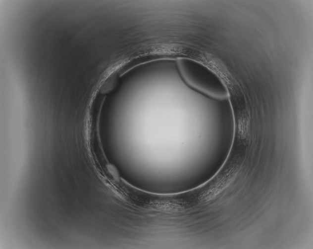 X0000113560724200909181219