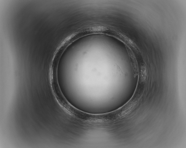 X0000113560726200909181219