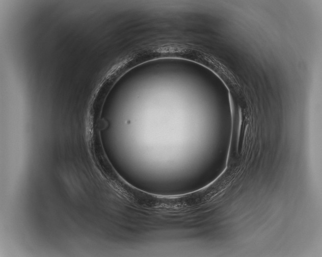 X0000113560727200909181219