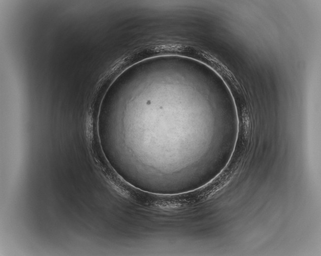 X0000113560729200909181219