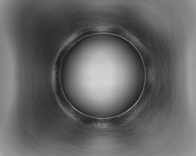 X0000113560730200909181219