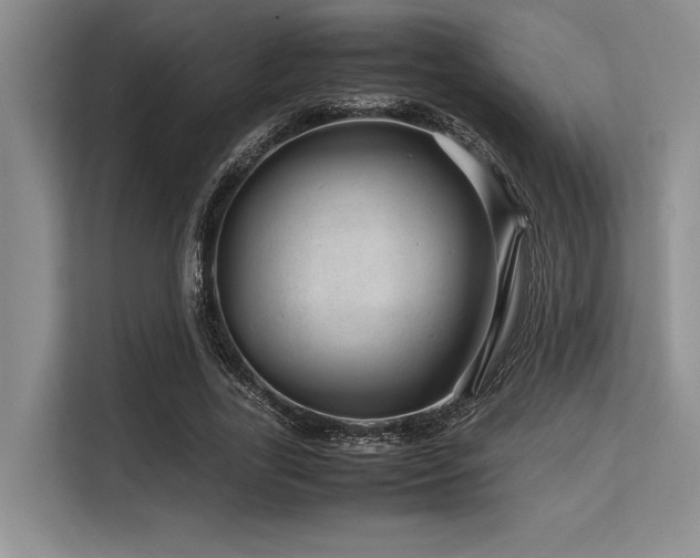 X0000113560731200909181219