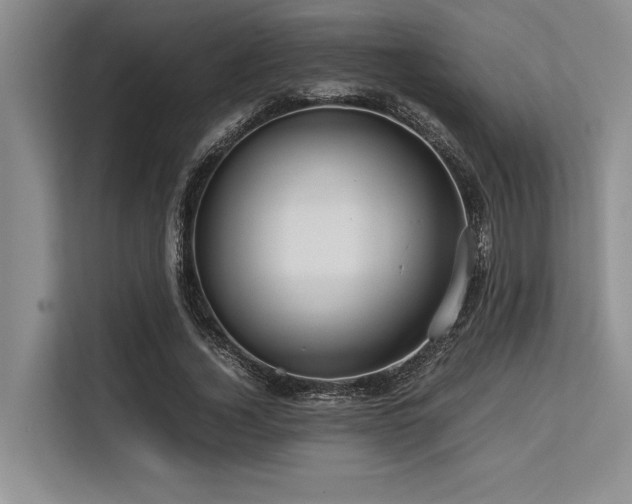 X0000113560732200909181219