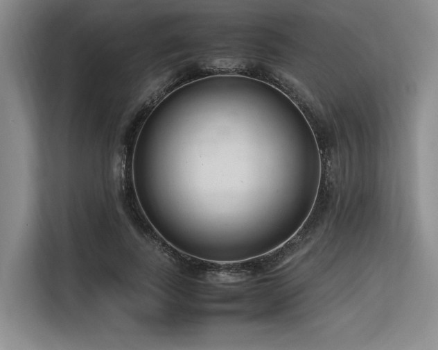 X0000113560739200909181219
