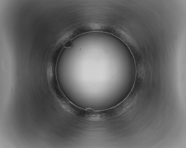 X0000113560740200909181219