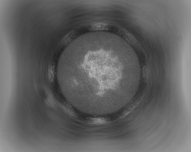 X0000113560741200909181219