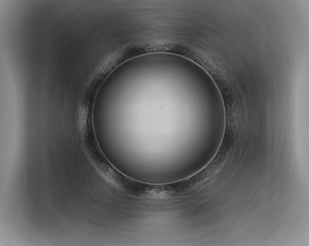 X0000113560742200909181219