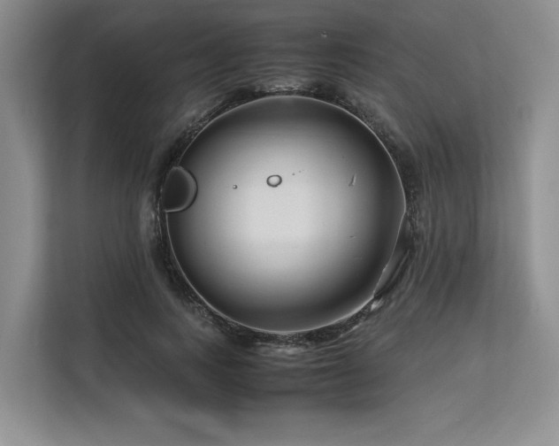 X0000113560743200909181219