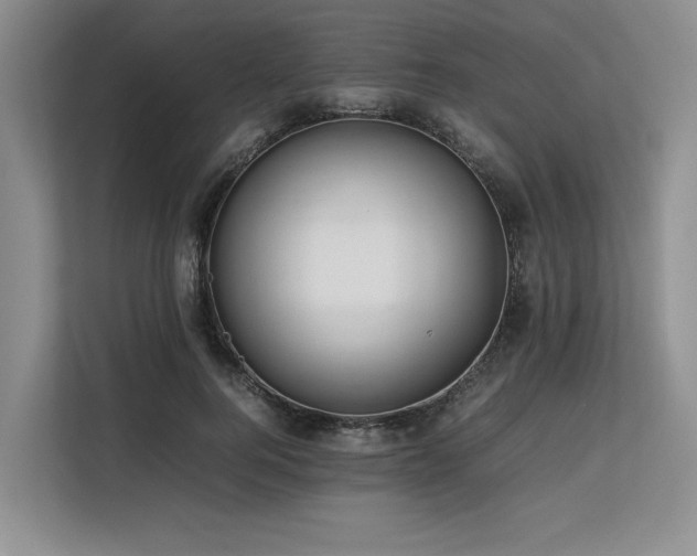 X0000113560744200909181219