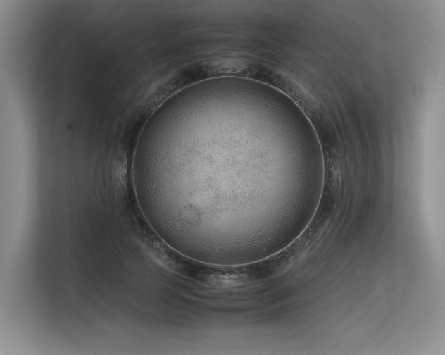 X0000113560745200909181219