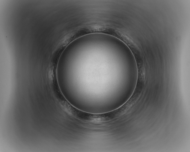 X0000113560746200909181219