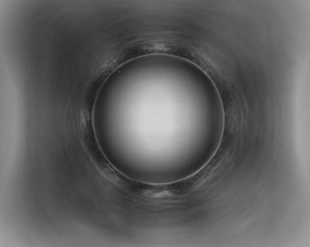X0000113560747200909181219