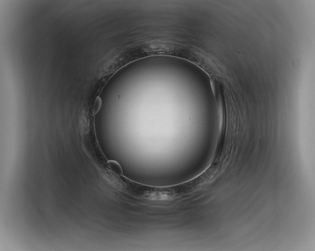 X0000113560751200909181219