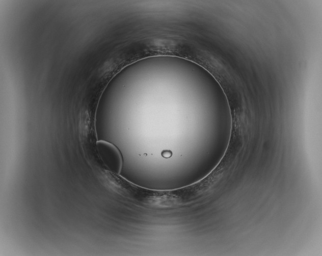 X0000113560752200909181219