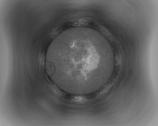 X0000113560753200909181219