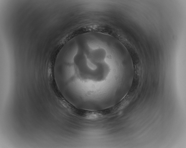 X0000113560754200909181219
