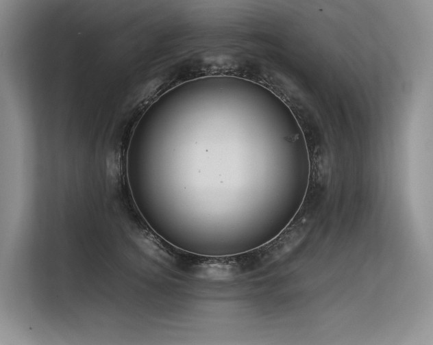 X0000113560756200909181219