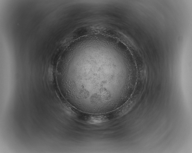 X0000113560757200909181219