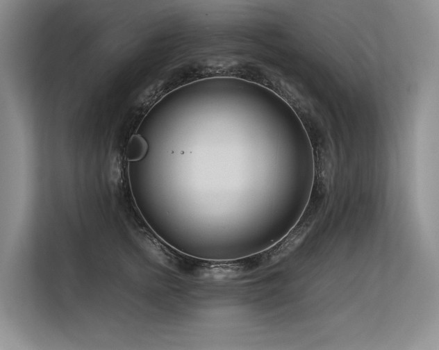 X0000113560758200909181219