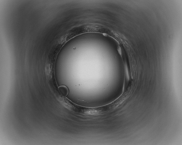 X0000113560759200909181219