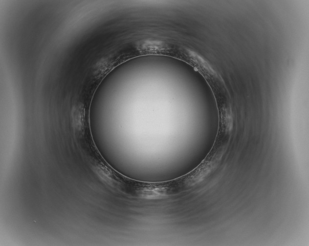 X0000113560760200909181219