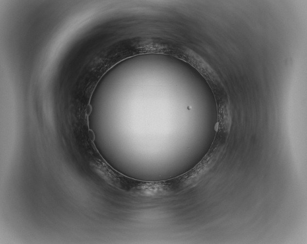 X0000113560762200909181219