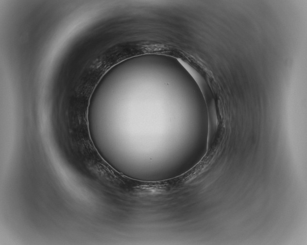 X0000113560763200909181219