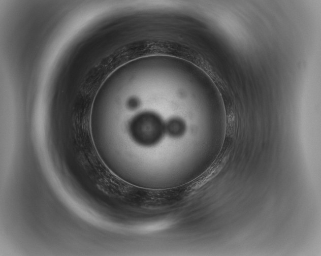 X0000113560765200909181219