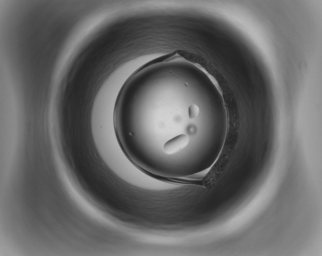 X0000113560766200909181219