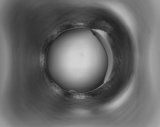 X0000113560767200909181219