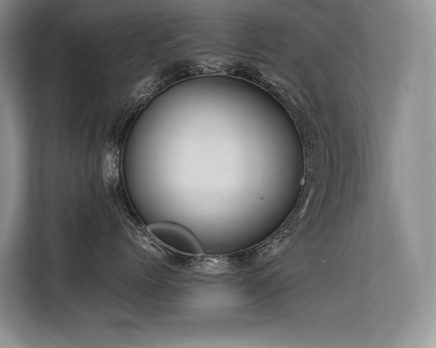 X0000113560768200909181219