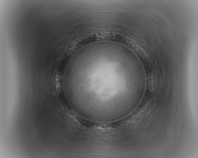 X0000113560770200909181219