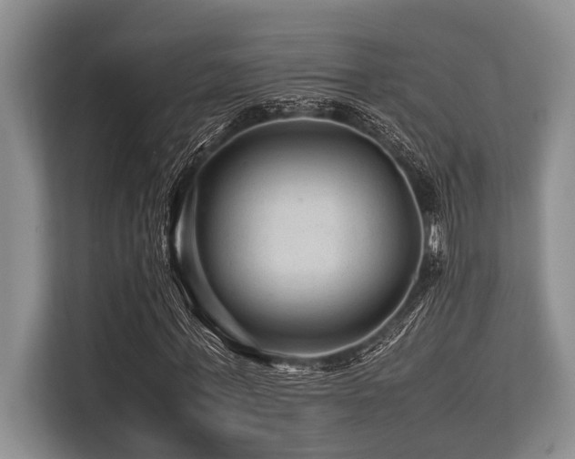 X0000113560771200909181219