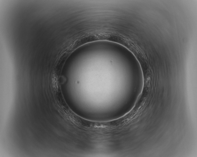 X0000113560772200909181219