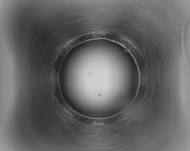 X0000113560773200909181219