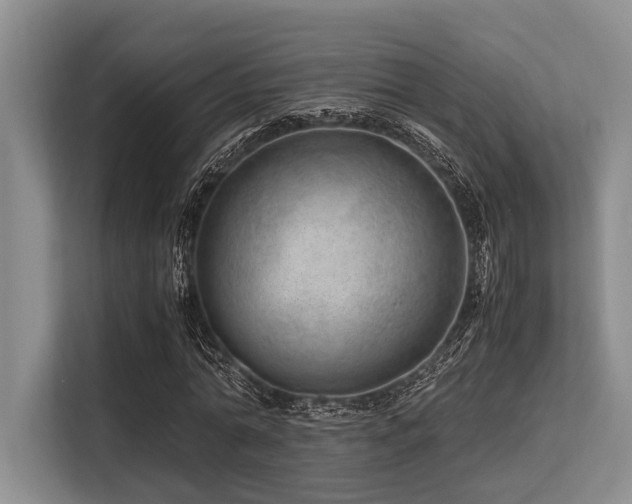 X0000113560774200909181219
