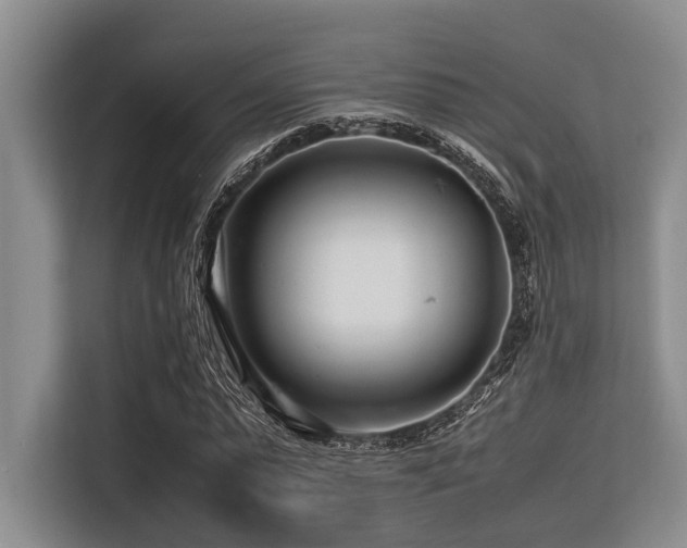 X0000113560775200909181219