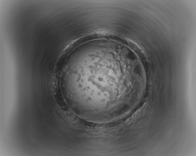 X0000113560776200909181219