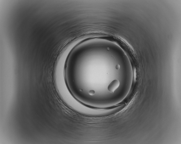 X0000113560777200909181219