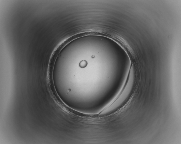 X0000113560780200909181219