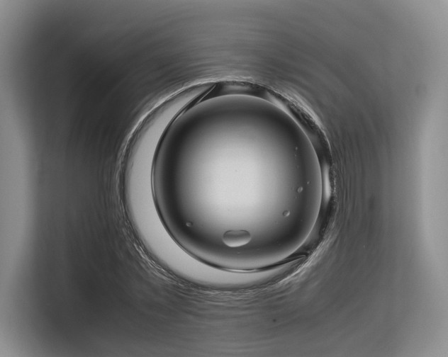 X0000113560781200909181219